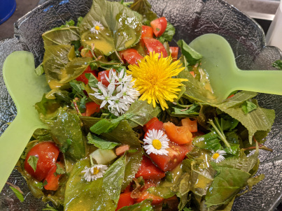 Wildpflanzensalat