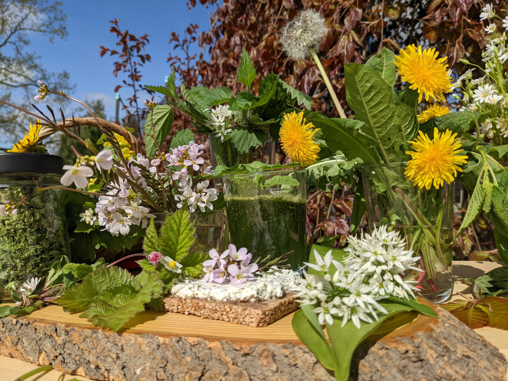 Die Fülle der essbaren Wildpflanzen