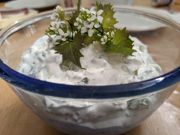 Knoblauchraukenquark