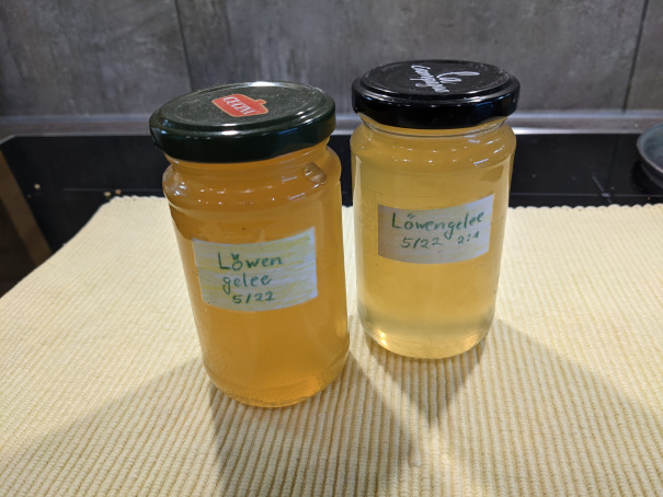 Löwenzahnblütengelee