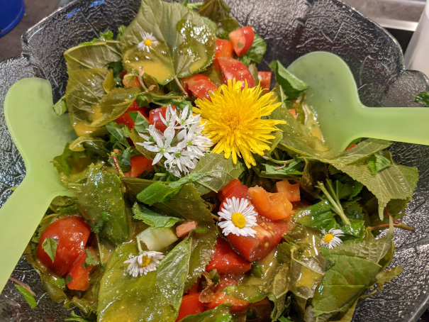 Wildkräutersalat