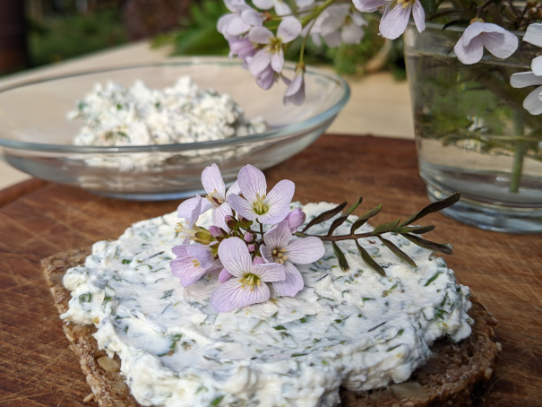 Frischkäse mit Wiesenschaumkraut
