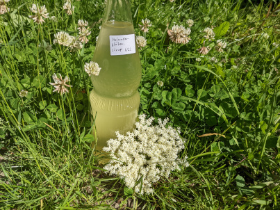 Holunderblütensirup