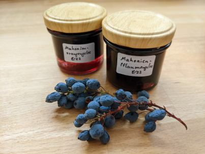 Mahonien-Pflaumen-Gelee